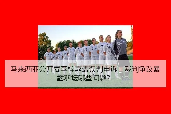 ma-lai-xi-ya-gong-kai-sai-li-zi-jia-zao-wu-pan-shen-su-cai-pan-zheng-yi-bao-lu-yu-tan-na-xie-wen-ti-2-567.jpg